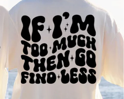 IF I'M TOO MUCH THEN GO FIND LESS