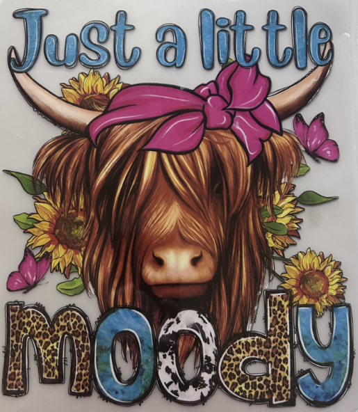 KIDS-JUST A LITTLE MOODY